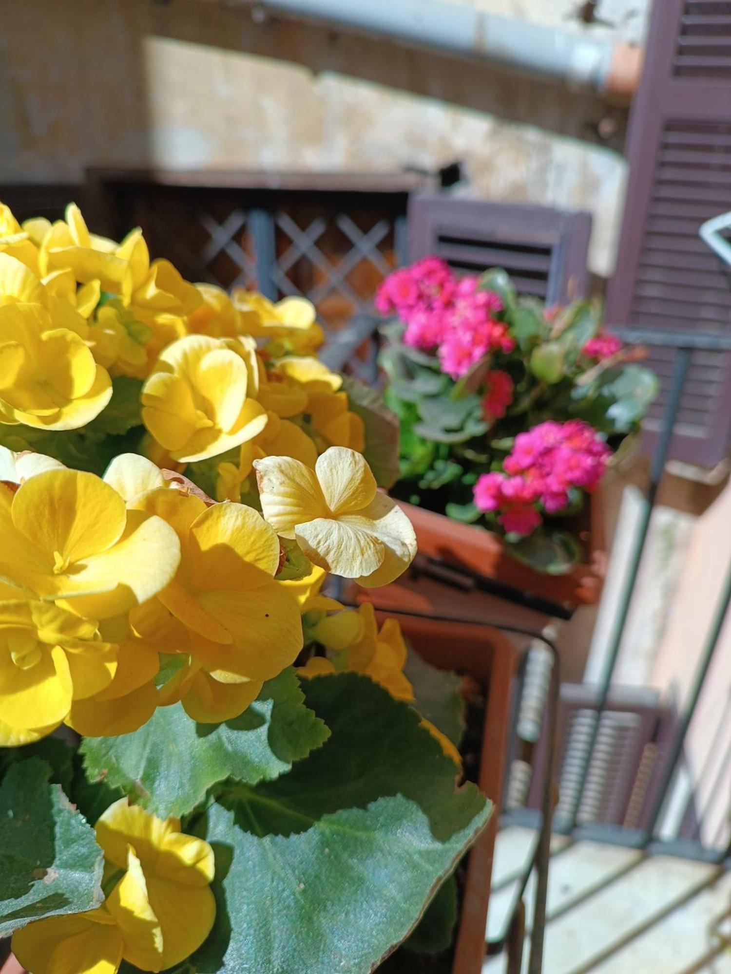 Elegant Rooms Roma - Guest House Luaran gambar